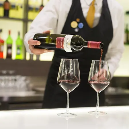 酒店 诺富特布莱希亚杜酒店 4*